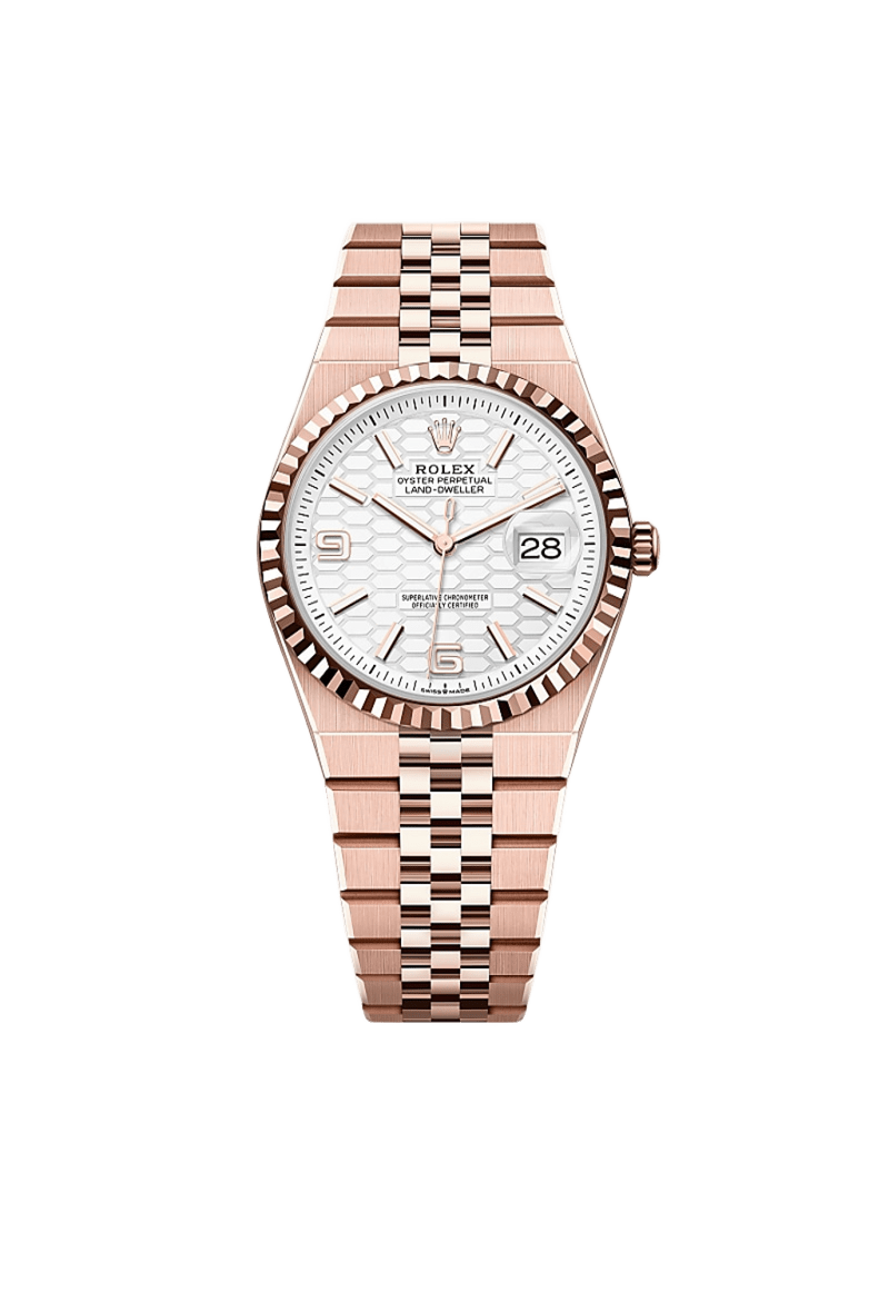 rolex Land-Dweller 36 in Oyster, 36 mm, oro Everose, M127235-0001 - boglietti gioielliere